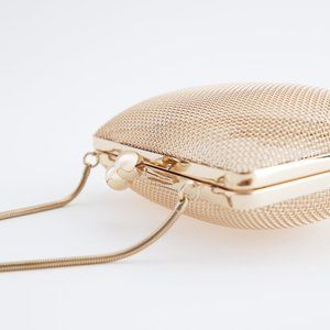 Zara Metallic Box Bag